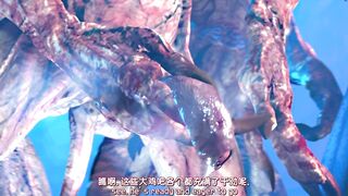 海贼王 娜美的伟大航路