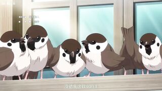 经典番_彼得_格里尔的贤者时间_第2季一到十二话一口气看完_中文字幕