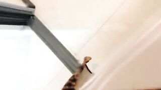 约炮达人出征网聊奔现制服妹子